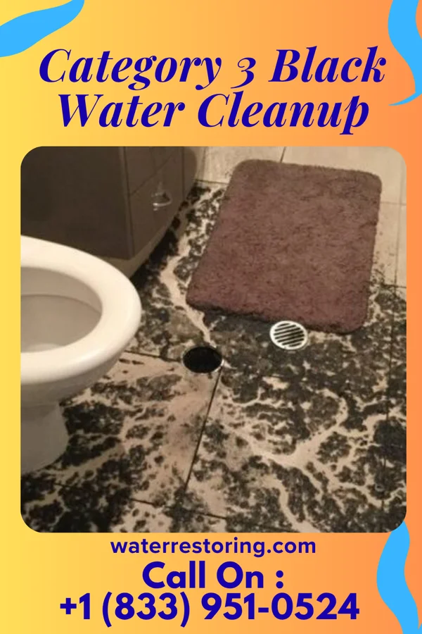 Category 3 Black Water Cleanup in Brighton, UT
