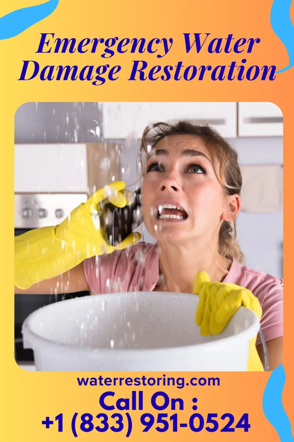 Emergency Water Damage Restoration in Brighton, UT