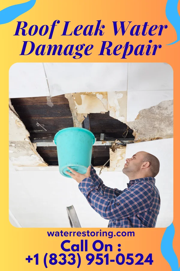 Roof Leak Water Damage Repair in Brighton, UT
