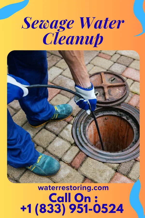 Sewage Water Cleanup in Brighton, UT